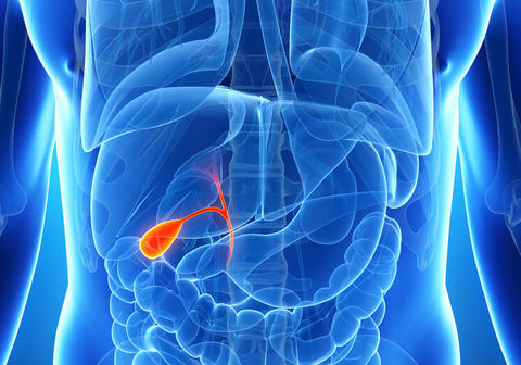 Millets to lower the risk of gallstones