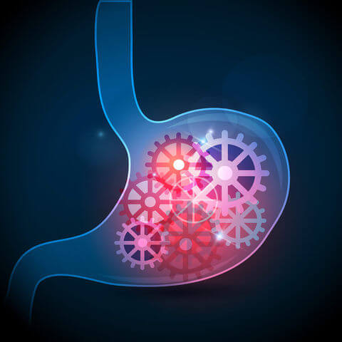 Millets helps in digestion