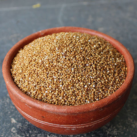 Kodo millet also called Varagu,Haarka,Arikelu