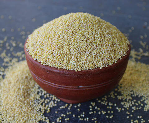 Proso millet also called Baragu,Banni,Panivaragu,Varigulu